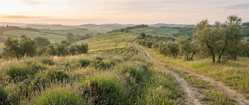 Natural landscape and plants